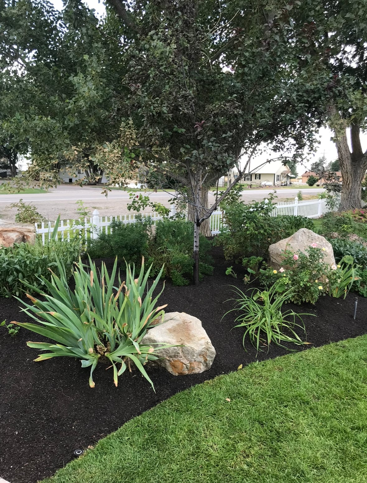 Finished front yard xeriscaping with boulders and low-water plants in Utah